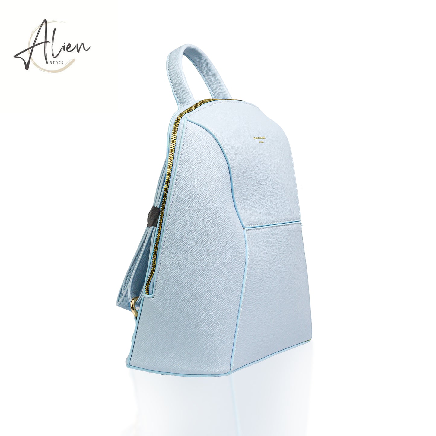 Backpack from david jones sky