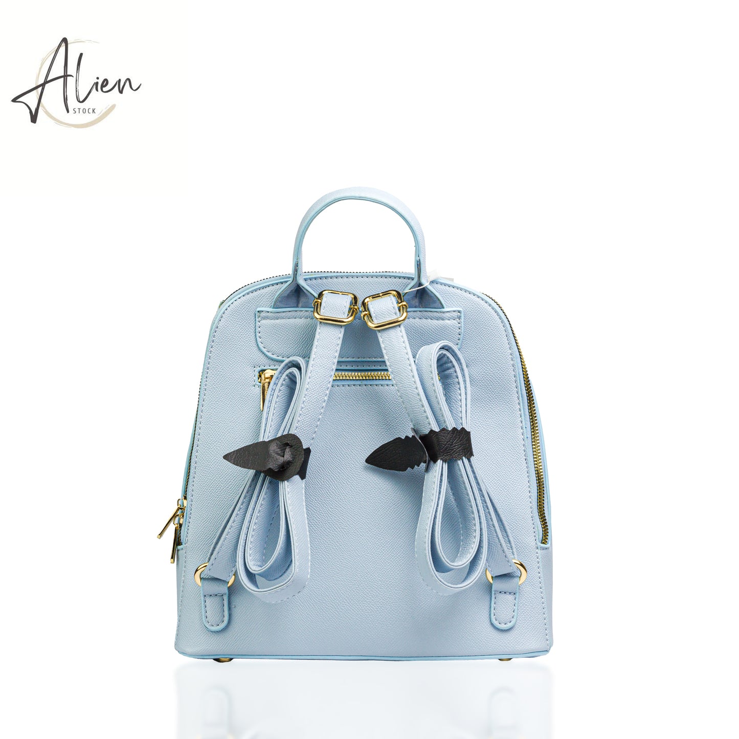 Backpack from david jones sky
